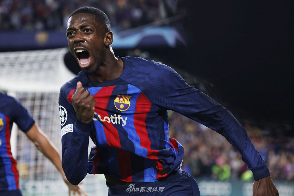 度和教练们 度和教练们